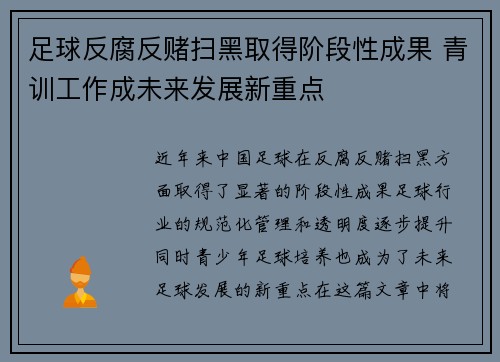 足球反腐反赌扫黑取得阶段性成果 青训工作成未来发展新重点